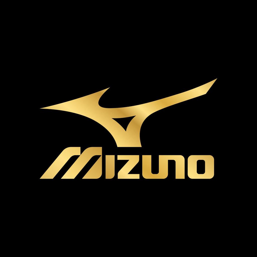 Усиленный носок и 10 см 3 Разных размера [Mizuno] Мужские носки с пятью пальцами, Прочные, Спортивные, Пятка, Школа, Длина, Пары, 989-401 F, 24,0 см~26,0 см