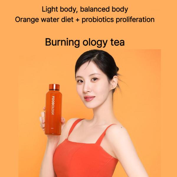 FOODOLOGY Burningology D-DAY: 3,8 г × 5 палочек, ЧАЙ FOODOLOGY Burningology: 7000 мг × 15 палочек (9 вариантов)