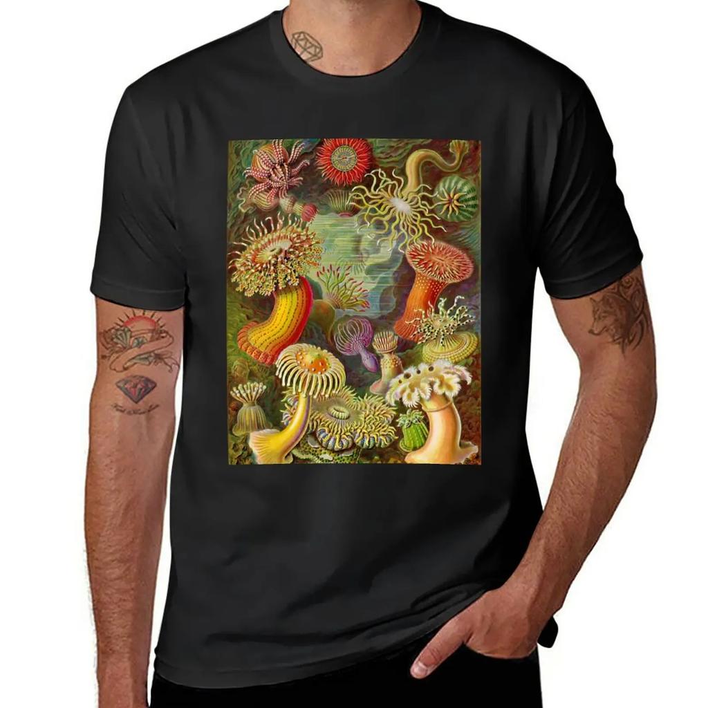 Sea anemone - Ernst Haeckel T-Shirt anime clothes shirts graphic tees Men's cotton t-shirt