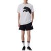 PUMA ESS WOVEN SHORTS Casual Shorts Men's Black 683488-01