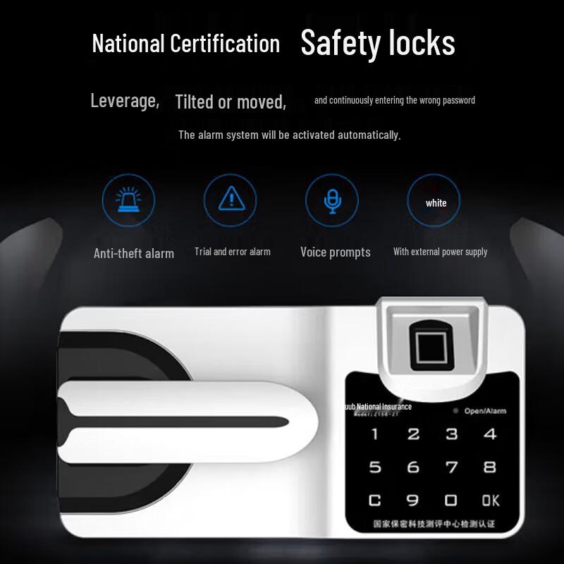 GEPAD Electronic Password Security Cabinet CN plug (adapter included)