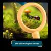 Cartoon Design Magnifying Glass Mini Pocket Size Optical Lenses Reading Glass  Elementary School