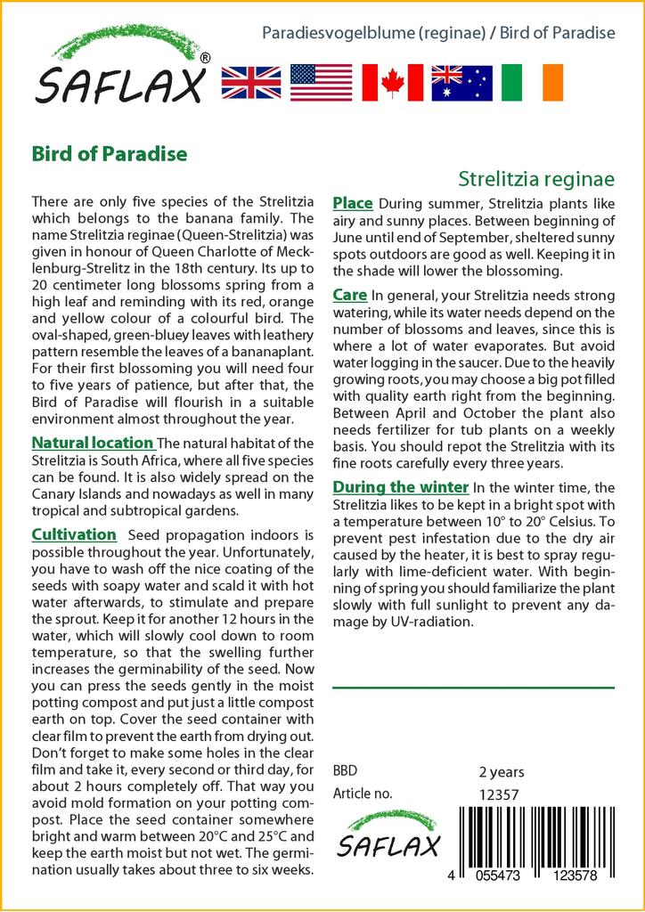 SAFLAX - Gift Set - Bird of Paradise - 5 seeds - With gift box, card, label and potting substrate - Strelitzia reginae