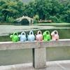 Water Can Anti-slid Handle Cute Plastic Creative Elephant Shape Water Pot for Garden