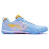 Настольный теннисные туфли Li Ning Унисекс Низкие APPT009-3