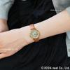 Riki Standard Ladies Solar AKQD402 Ladies Silver [Часы Seiko]