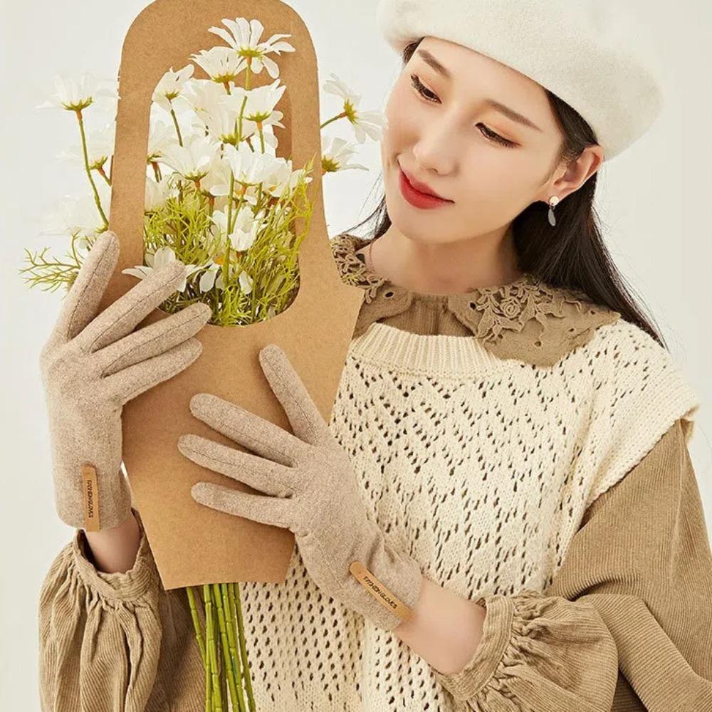 Теплые зимние перчатки Ветрозащитные женские перчатки Модные кашемировые перчатки Водить
