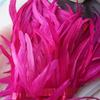 2m Rooster Tail Feather Trim: Costume & Accessory Decoration