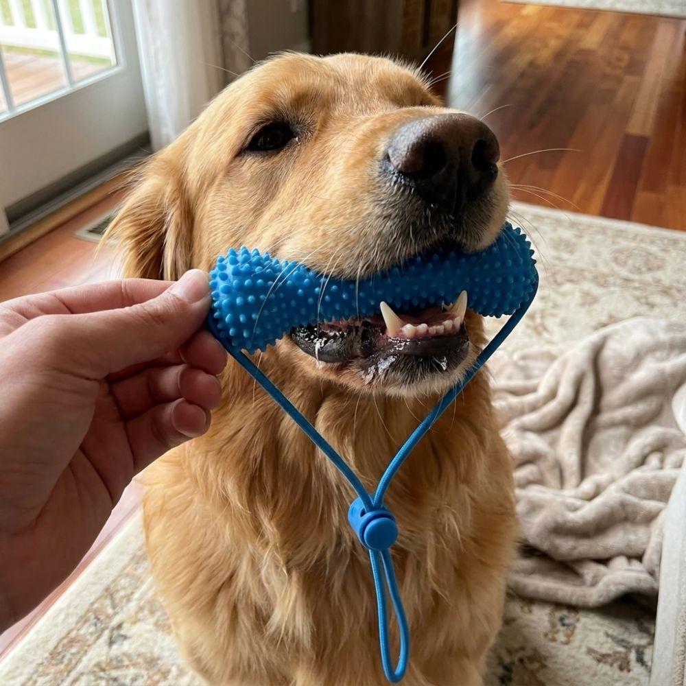Bite-Resistant Pet Teeth Cleaning Toy with Rope Interactive Dog Toy Dog Chew Stick Interactive Tug