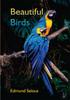 Книга Beautiful Birds by Edmund Selous - Paperback