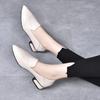 High Heels Women's 2025 Spring New Comfortable Cowhide Pointed Thick Heel Medium Heel Work Shoes One Shoe Two Wear Low-top Shoes