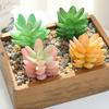 6*4 Cm Artificial Succulent Artificial Decor Mini Realistic
