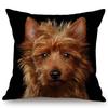 Black Background Dog Puppy Portrait Vizsla Husky Shepherd Shibu Cute Sofa Pillow Case Home Decorative Cotton Linen Cushion Cover