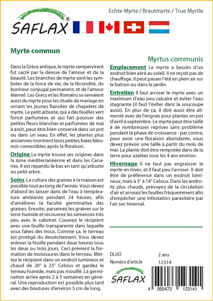 SAFLAX Мирт настоящий - 30 семян - Myrtus communis