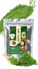 Uji Strong matcha много 250 г внутри страны без порошка матча для обучения сладостям матча использование порошка матча [Kyoto Matcha] порошок, использование, / 100%