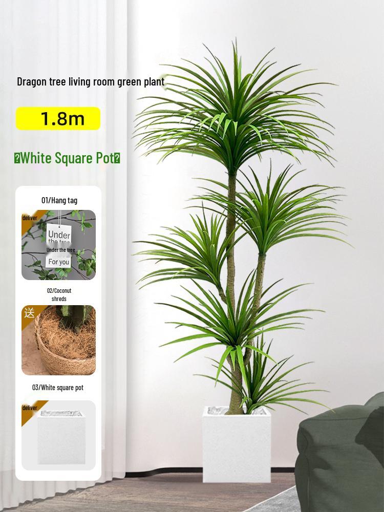 Dragon Blood Tree - Large Indoor Faux Plant for Living Room Decor