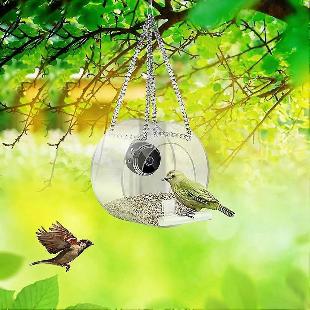 Clearance Now Smart Bird Feeder with Camera, 1080P Bird Watching Camera Auto Capture Videos&Motion Detection For Outdoor I Bird