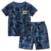 Summer  Beach Set for Boys Coconut Tree Print Short Sleeve T-Shirt + Shorts Children's Clothing Leaf Pattern Kids Outfit