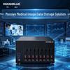 Hoodblue DS880Plus 8-Bay 10GbE NAS Network Storage Server