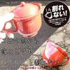 Nagaoh Teapot Kyusu 480ml Navy Lightweight Unbreakable Plastic Dishwasher Microwave Safe SECCHU Made Japan