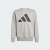 adidas Повседневная спортивная одежда для детей, с круглым вырезом, средняя JE1385