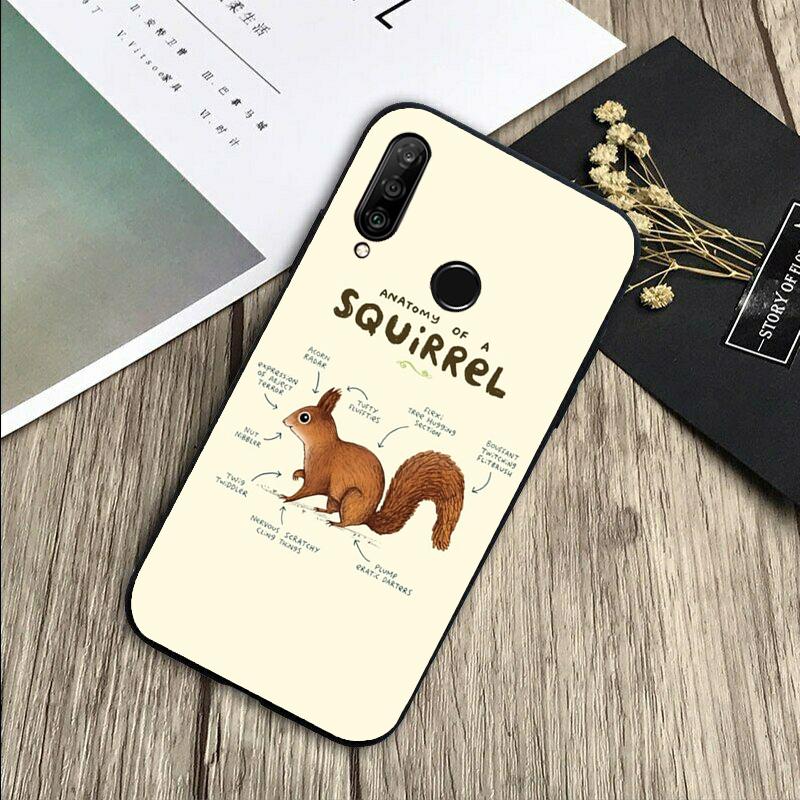 Squirrel Cute Animals For Huawei Nova 5T 9 10 SE 7i 8i 11i 12i Y73 Y90 Y70 Y72 Y61 Y91 P60 Pro P40 P30 Lite Case