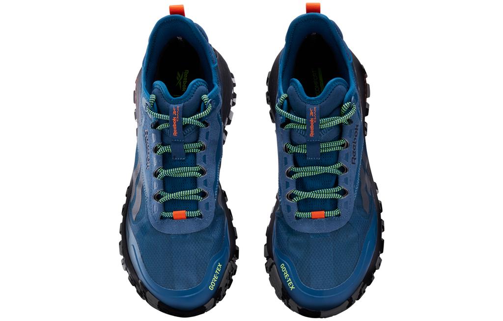Reebok Dmx Trail GORE-TEX 'Escape Blue' 100200883