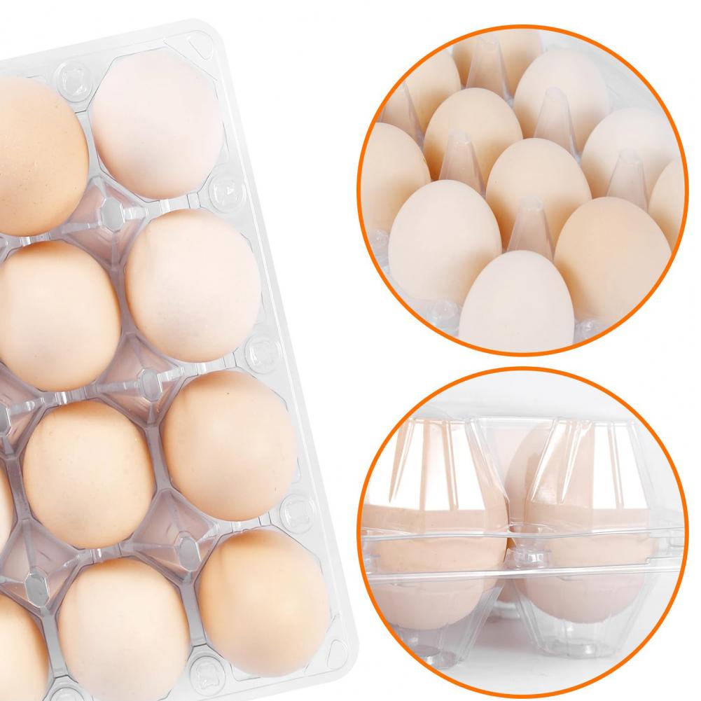 Farm Egg Display Case Secure Fasteners Egg Container Reusable Plastic Egg Cartons for Home Ranch Market Display Bulk for Farm