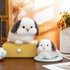 Игрушки Плюшевые Кролики Симуляция Очаровательная Мягкая Кукла Кролик Декор для Дома Игрушки Кавайный Брелок для Рюкзака Мягкая Кукла для Ребенка Подарок на День Рождения