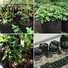 Tomato Planting Bags Non-woven Bag Outdoor Garden Plant Pot with Reinforced Handle Pots Handles Large Capacity Breathable Potato Grow Containers