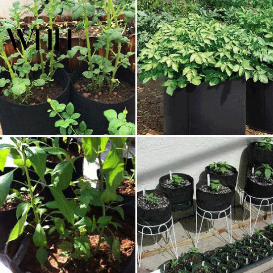 Tomato Planting Bags Non-woven Bag Outdoor Garden Plant Pot with Reinforced Handle Pots Handles Large Capacity Breathable Potato Grow Containers