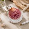 Lightweight Natural Seashell Notebook Mini Compact Mini Notebook  Personal Use