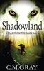 Книга Shadowland : 1
