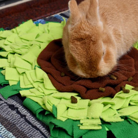 Плед-нюхалка Авокадо Собака Питомец Интерактивный коврик Коврик для кормления Диспенсер для лакомств Натуральный