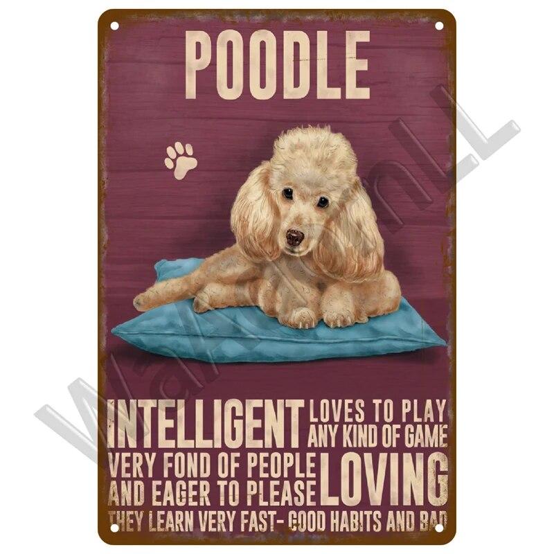 Металлический знак в стиле ретро, черный кот, постер, забавный оловянный знак с котом, винтажная табличка с изображением животного, домашний декор, настенное искусство, зоомагазин, садовая табличка для бара для собак