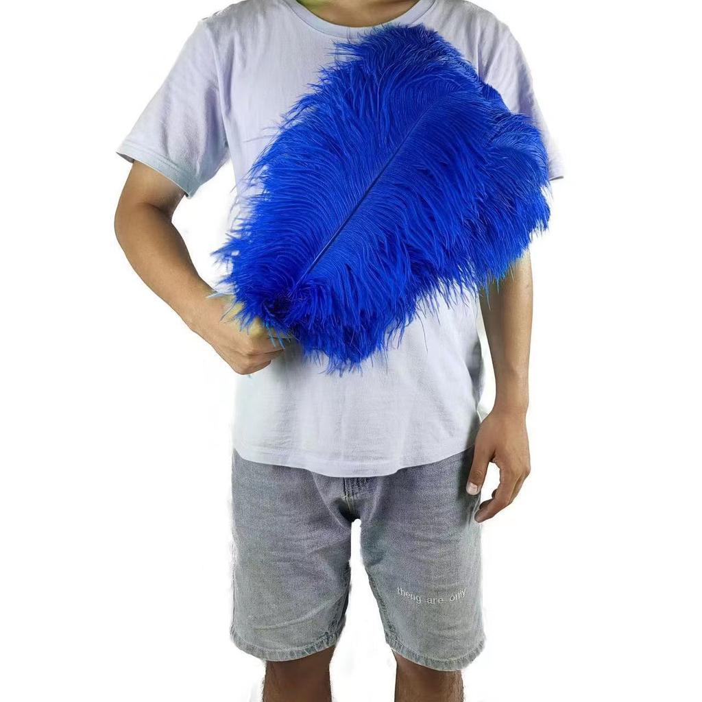 10PCS 45-50cm Colorful Big Feathers Ostrich Table Flower Table Flower Wedding Decoration Ostrich Feathers