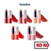 [Vaseline] Lipstick Lip Balm Therapy Colour + Care (5 Colors)