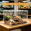 Acrylic Reptile Habitat Box Geckos Spiders Scorpions Lizards Clear Transparent Single/Double Compartment Terrarium With Bark
