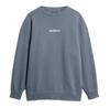 Superdry Micro Logo Graphic Loose свитшот
