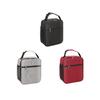 Insulated Lunch Bag with Handle and Bottle Pocket Meal Tote Thermal Leakproof Lunchbox for Hiking Picnic Travel Beach Women Men