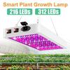 8000W Full Spectrum LED Grow Light Growing Lamps for Plants Indoor Flower Phytolamp for Greenhouses Grow Tent Box