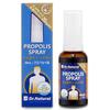 DRNATURAL Propolis Spray, 30ml, 1 Unit