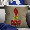 CCCP USSR Soviet Personalized Pillow Cover Kids Bedroom Wild Party Decor Pillowcase Kid Birthday Shower Gift