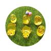 100pcs Luminous Mini Ducks Resin Miniature 3D Duck Figurines Moss Micro Landscape Resin Doll House Landscape Decor Glow at Dark
