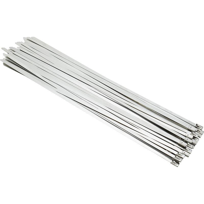 10Pcs 304 Stainless steel cable tie 4.6mm Metal Stainless Steel Zip Ties Multi-Purpose Zip Ties Heavy Duty Cable 5x100/150/300