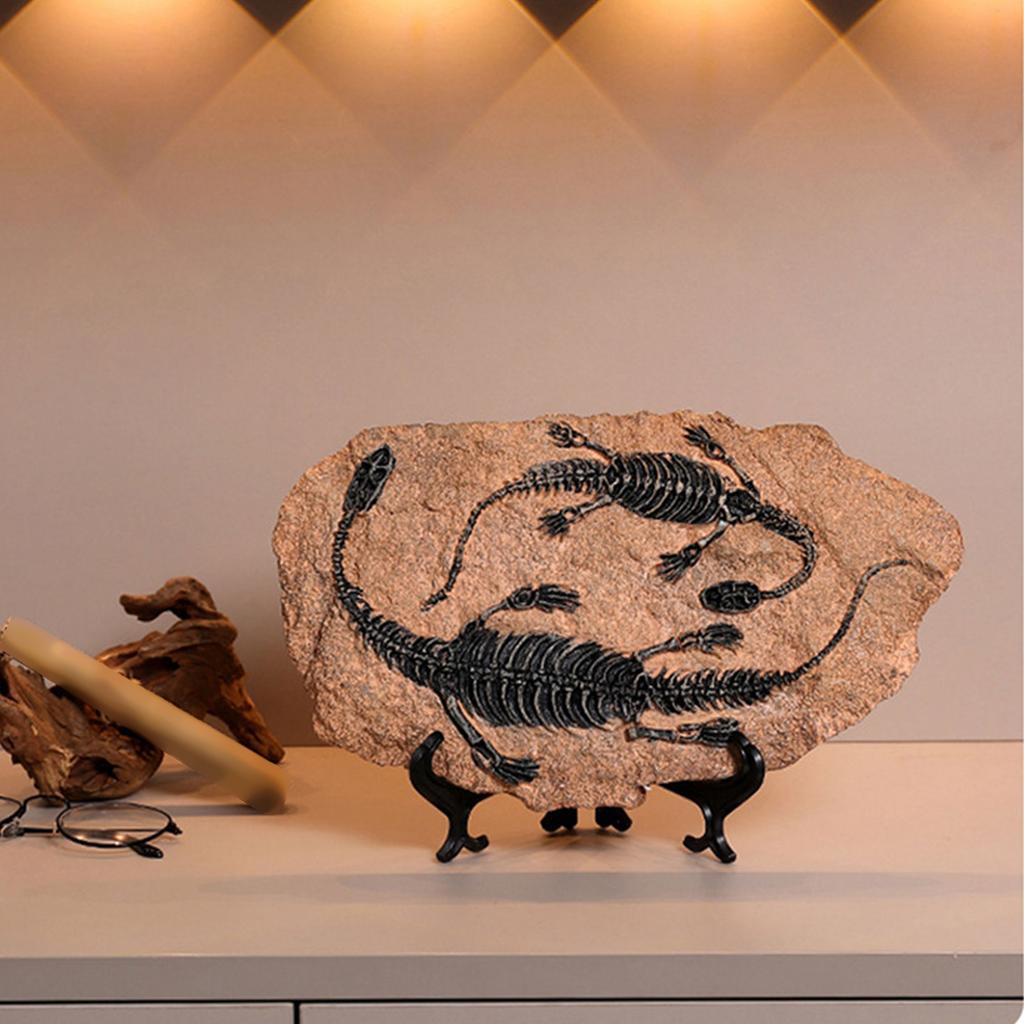 Handcrafts Dinosaur Fossils Model Simulated Dinosaur Skeleton Resins Statue Figurine for Home Decors and Educational Use