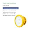 SOR Explosion-Proof LED Floodlight
