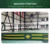 Ronglv Professional Boxing & Martial Arts Ring