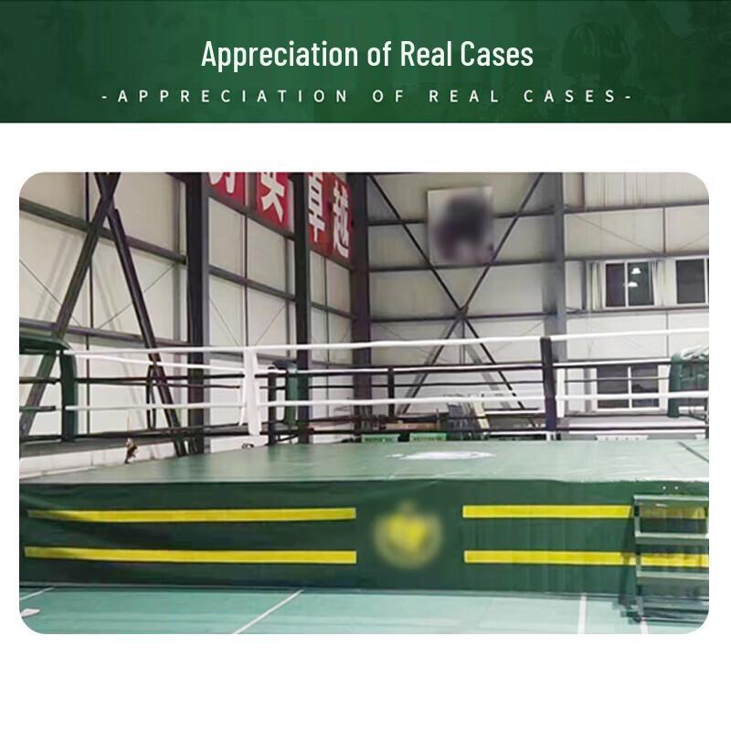Ronglv Professional Boxing & Martial Arts Ring