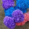 Multi-Color Preserved Bigleaf Hydrangea Single Stem Flower Bouquet for Home Decoration